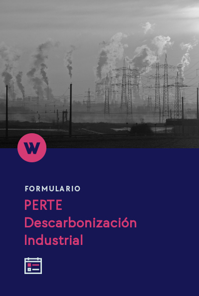 Perte Descarbonizacion